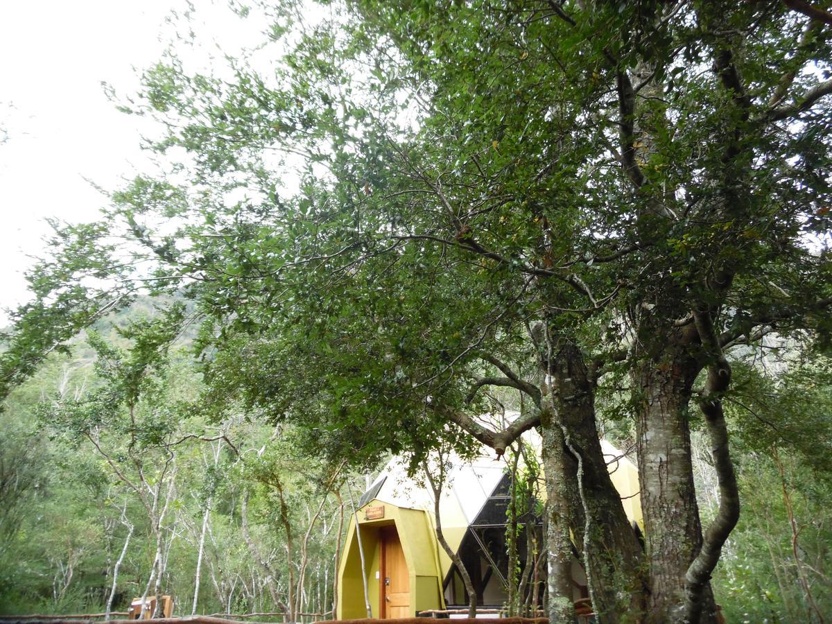 Cuyinco Domos Villa Rininahue Exterior photo